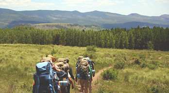 Group hiking in nature